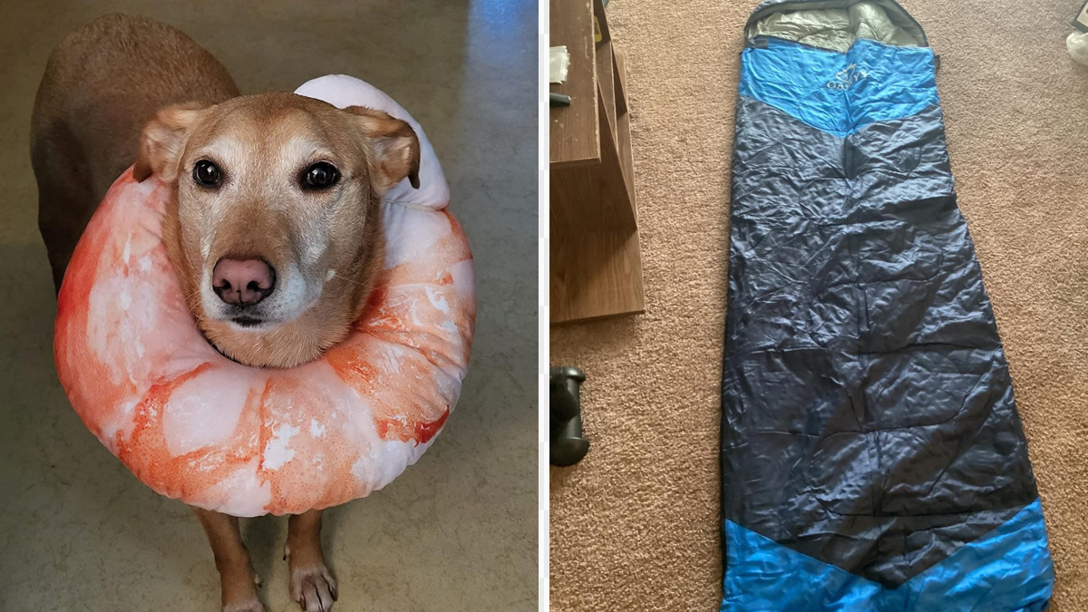 Adding To Cart Just For The Pet Pics: 20 Irresistible Amazon Reviews Featuring Furry Friends