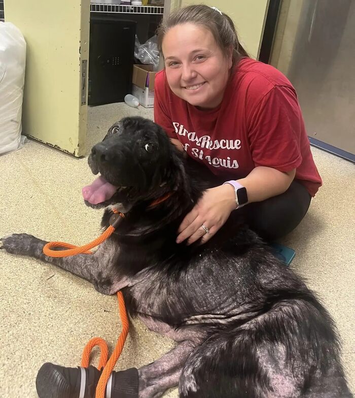 When She Was Found Dumped In An Empty Field, She Was Barely Living, But Love And Care Did Wonders When She Was Found Dumped In An Empty Field, She Was Barely Living, But Love And Care Did Wonders