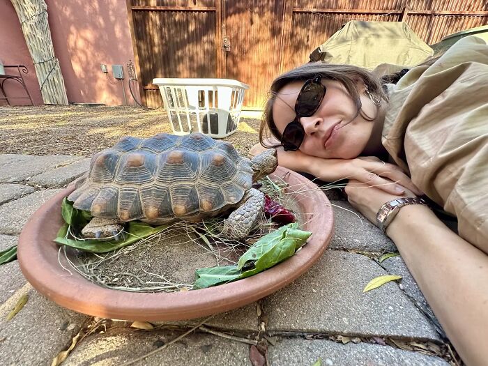 This Woman Has Become True Besties With A Sonoran Desert Tortoise She Recently Adopted This Woman Has Become True Besties With A Sonoran Desert Tortoise She Recently Adopted