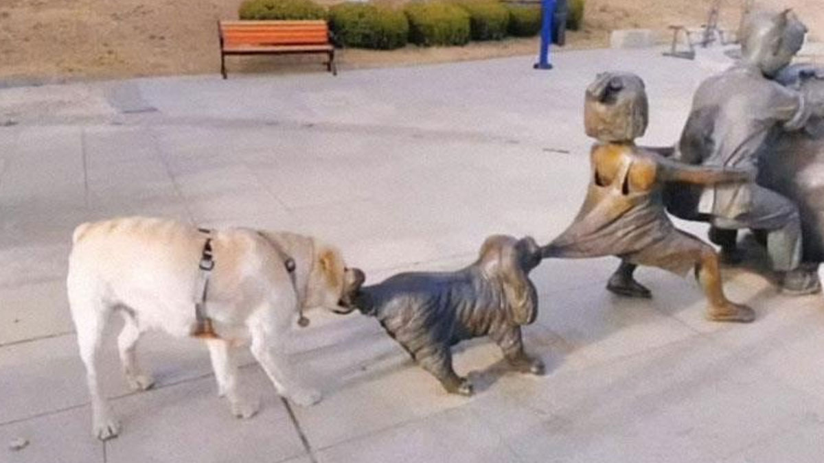 50 Of The Most Hilarious Fails Following “An Attempt Being Made” (Best Of All Time)