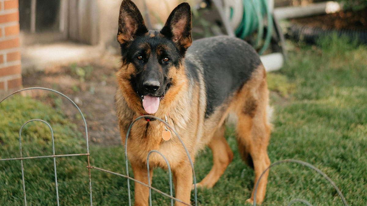 “One Of The Most Terrifying Experiences”: Things People Swear They’ve Seen But Nobody Believes Them