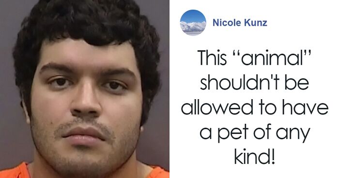 “Justice Prevails”: Man Who Tied Dog During Hurricane Milton Charged ...