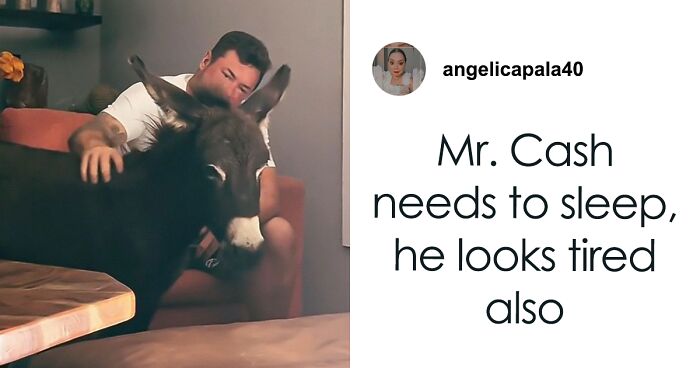 Viral Couple Who Stayed To Care For Animals Reveal Farm’s Destruction After Hurricane Milton