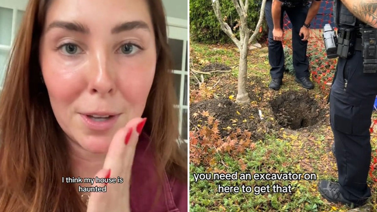 “There’s Obviously A Body”: Woman Discovers Rug In Her Yard, Suspects It May Have Human Remains“There’s Obviously A Body”: Woman Discovers Rug In Her Yard, Suspects It May Have Human Remains