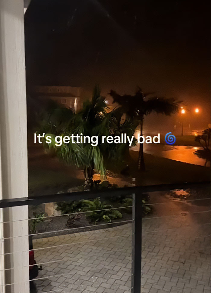 "Rich Doesn't Make You Smart": Florida Mom Won't Evacuate "Milton Proof" Mansion, Sparks Anger "Rich Doesn't Make You Smart": Florida Mom Won't Evacuate "Milton Proof" Mansion, Sparks Anger