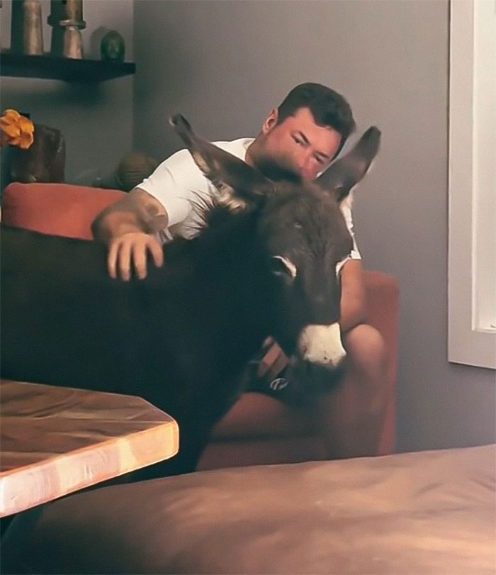 Viral Couple Who Stayed To Care For Animals Reveal Farm’s Destruction After Hurricane Milton Viral Couple Who Stayed To Care For Animals Reveal Farm’s Destruction After Hurricane Milton