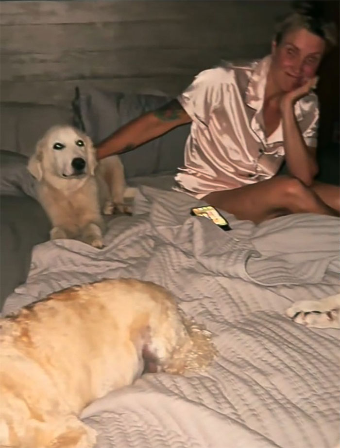 Viral Couple Who Didn’t Evacuate Amid Hurricane Milton Brings Donkey Into Their Home Viral Couple Who Didn’t Evacuate Amid Hurricane Milton Brings Donkey Into Their Home