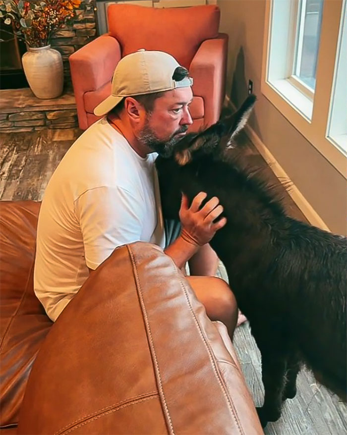 Viral Couple Who Didn’t Evacuate Amid Hurricane Milton Brings Donkey Into Their Home Viral Couple Who Didn’t Evacuate Amid Hurricane Milton Brings Donkey Into Their Home