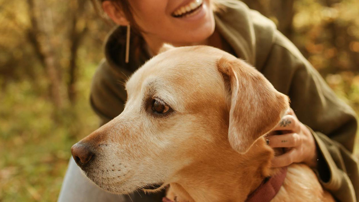 “Ignored All My Calls And Texts”: Neighbors Move Out, Leaving Their Dog Behind, Now Want Him Back