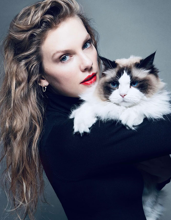 Rescue Efforts Intensify For 66-Year-Old Woman Who Fell Overboard From Cruise Ship In Bahamas Rescue Efforts Intensify For 66-Year-Old Woman Who Fell Overboard From Cruise Ship In Bahamas