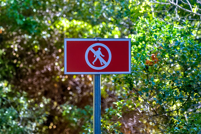 "No entry sign in a lush green forest setting. "No entry sign in a lush green forest setting.