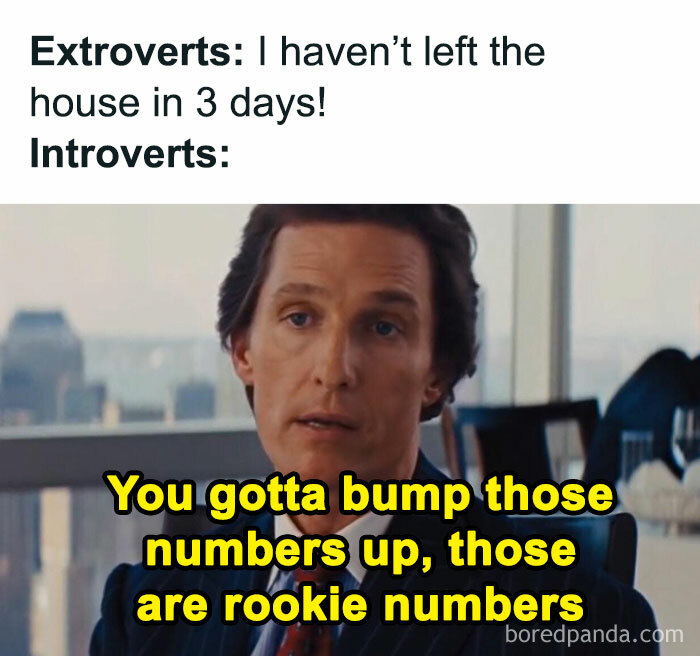 Relatable meme about introverts preferring alone time, with humorous text about staying indoors.