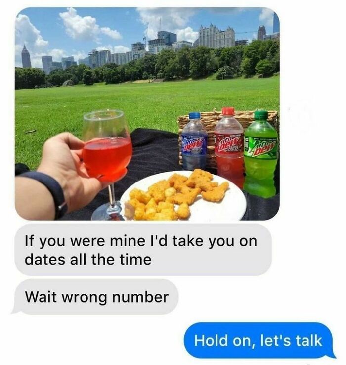 Picnic with city skyline, chicken nuggets, mixed sodas, and a humorous text conversation about mistaken identity.