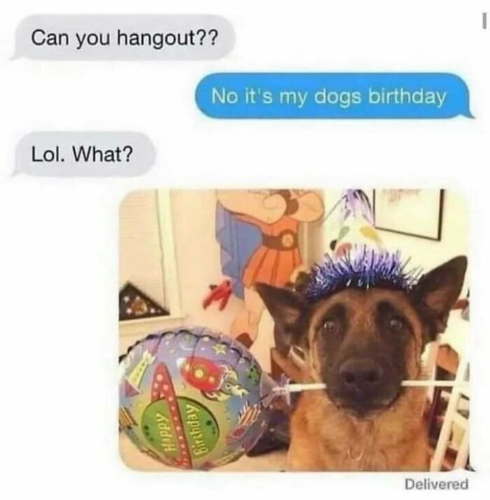 Text conversation with person declining a hangout for their dog's birthday; relatable excuse for avoiding interactions.