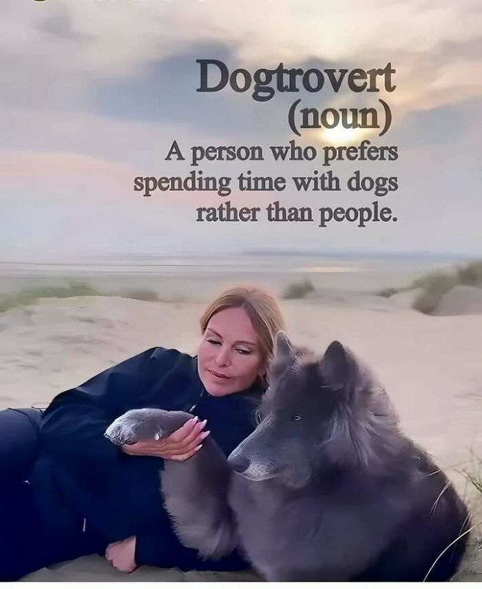 Woman relaxing with a fluffy dog on a beach, highlighting relatable interaction posts about dog-lovers.