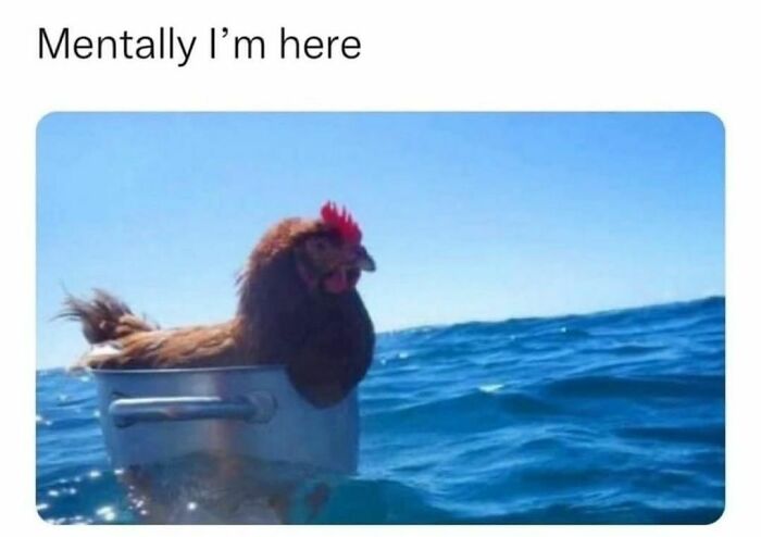 Funny-Introvert-Jokes-Memes