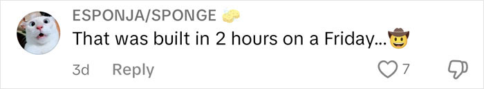Comment on $1,600,000 home's condition: "Built in 2 hours on a Friday" with a cat profile picture and cowboy emoji. Comment on $1,600,000 home's condition: "Built in 2 hours on a Friday" with a cat profile picture and cowboy emoji.