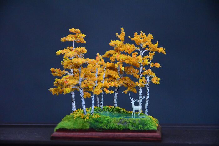 I Created A Magical Miniature World With An Enchanted Forest