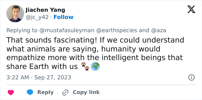 AI Is Translating Whale Language, Which May Help Us Communicate With Extraterrestrials One Day AI Is Translating Whale Language, Which May Help Us Communicate With Extraterrestrials One Day