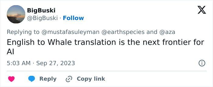 AI Is Translating Whale Language, Which May Help Us Communicate With Extraterrestrials One Day AI Is Translating Whale Language, Which May Help Us Communicate With Extraterrestrials One Day