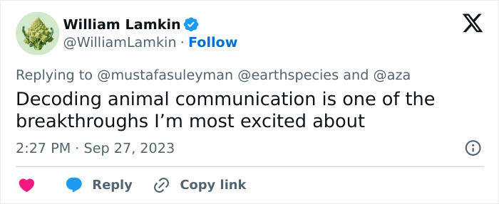 AI Is Translating Whale Language, Which May Help Us Communicate With Extraterrestrials One Day AI Is Translating Whale Language, Which May Help Us Communicate With Extraterrestrials One Day