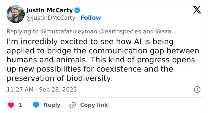 AI Is Translating Whale Language, Which May Help Us Communicate With Extraterrestrials One Day AI Is Translating Whale Language, Which May Help Us Communicate With Extraterrestrials One Day