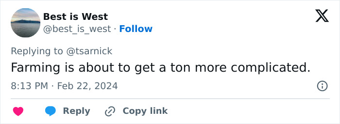 AI Is Translating Whale Language, Which May Help Us Communicate With Extraterrestrials One Day AI Is Translating Whale Language, Which May Help Us Communicate With Extraterrestrials One Day