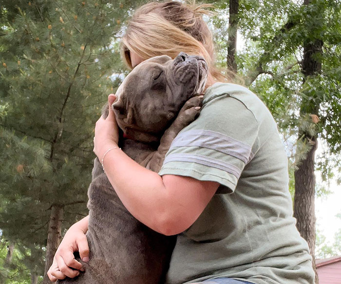Lovely Pitbull Can’t Stop Hugging Woman Who Gave Him Foster Home, Goes Viral When Pics Spread Online Lovely Pitbull Can’t Stop Hugging Woman Who Gave Him Foster Home, Goes Viral When Pics Spread Online