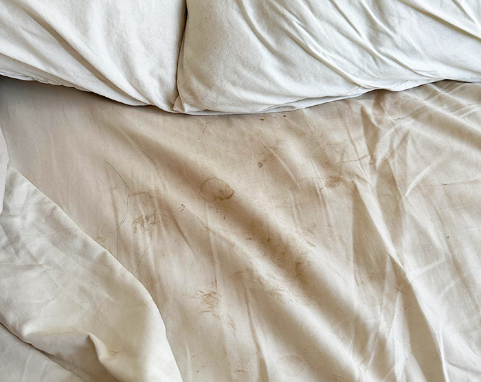 Dirty bed sheets with visible stains and wrinkles related to a relationship incident. Dirty bed sheets with visible stains and wrinkles related to a relationship incident.