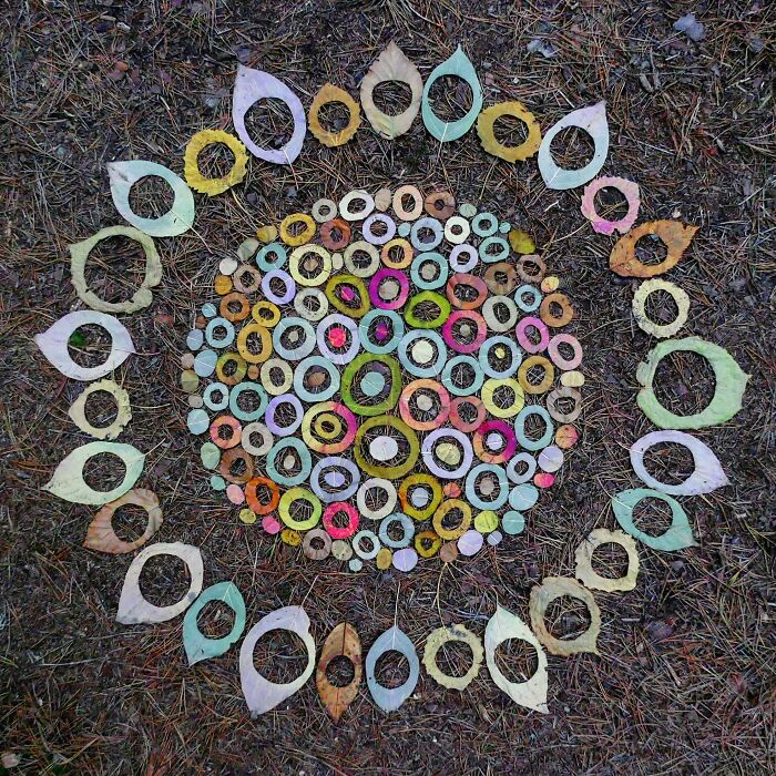 Autumn Flower - Made From Cut Autumn Leaves Autumn Flower - Made From Cut Autumn Leaves