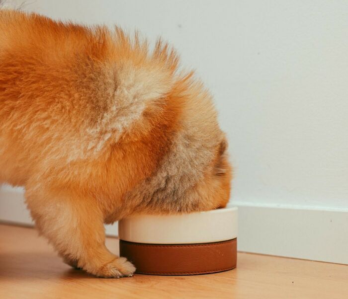 Woman Saves Friend Hundreds Of Dollars In Dog Sitting, Gets Handed A Bill In Return Woman Saves Friend Hundreds Of Dollars In Dog Sitting, Gets Handed A Bill In Return