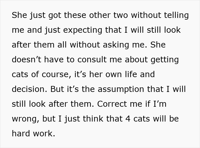 Woman Assumes Sis Will Look After Her 4 Cats While She's On Holiday, But She Doesn't Want To Woman Assumes Sis Will Look After Her 4 Cats While She's On Holiday, But She Doesn't Want To
