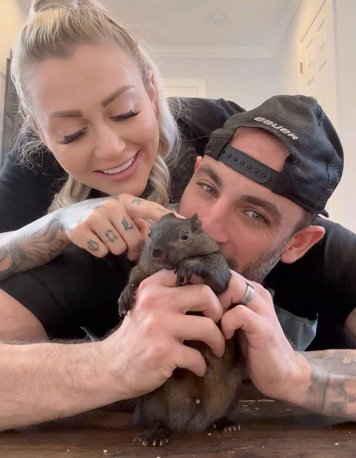 Woman Speaks Out After Entire Internet Accuses Her Of Having Peanut The Squirrel Euthanized Woman Speaks Out After Entire Internet Accuses Her Of Having Peanut The Squirrel Euthanized