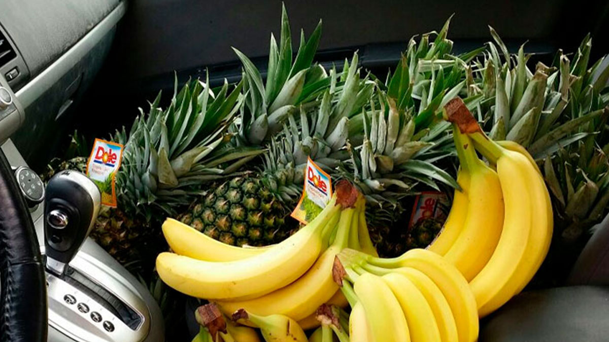 30 Math Memes Only True Nerds Will Appreciate