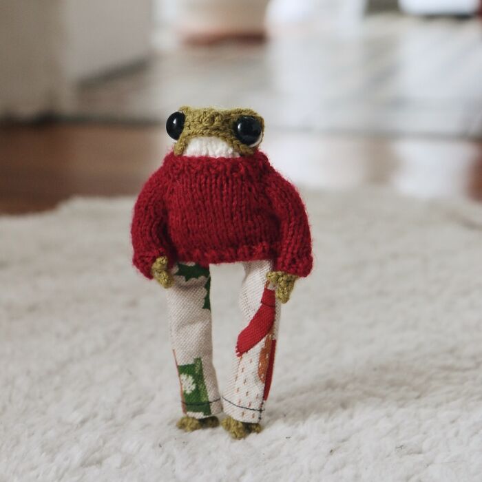 Knitted miniature frog in a red sweater and patterned pants on a plush carpet.