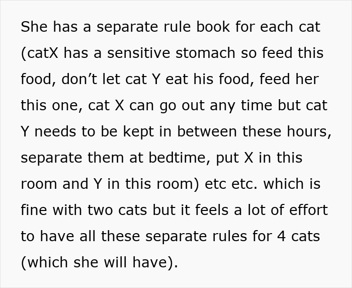 Woman Assumes Sis Will Look After Her 4 Cats While She's On Holiday, But She Doesn't Want To Woman Assumes Sis Will Look After Her 4 Cats While She's On Holiday, But She Doesn't Want To