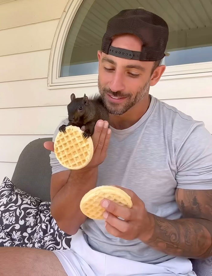 Woman Speaks Out After Entire Internet Accuses Her Of Having Peanut The Squirrel Euthanized Woman Speaks Out After Entire Internet Accuses Her Of Having Peanut The Squirrel Euthanized