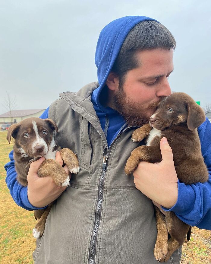 Man holding and kissing two rescued puppies, dressed in a blue hoodie, outdoors. Man holding and kissing two rescued puppies, dressed in a blue hoodie, outdoors.