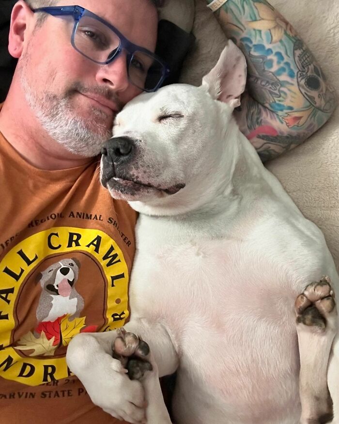 Man with glasses cuddling a white deaf therapy dog wearing a tan shirt with a dog emblem. Man with glasses cuddling a white deaf therapy dog wearing a tan shirt with a dog emblem.