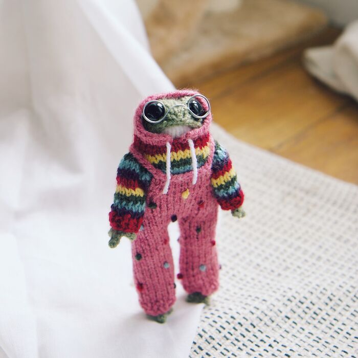 Miniature frog in a colorful knitted outfit by a French knitter, featuring big eyes and a rainbow hoodie