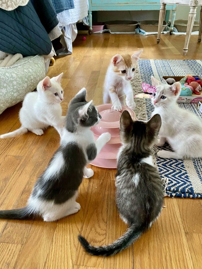 Planning Future World Domination Planning Future World Domination