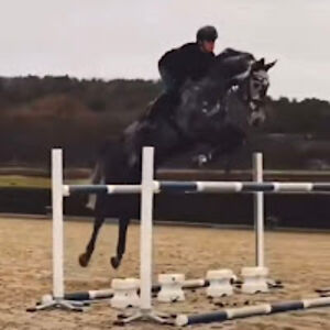 maddiekennerleydrye avatar