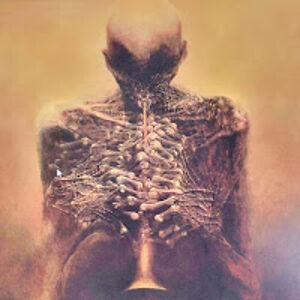 andrewbrininstool avatar