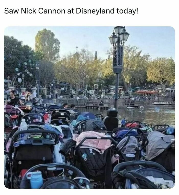 Numerous strollers lined up at Disneyland, humorously implying it's Nick Cannon's visit, celebrating the male mind.