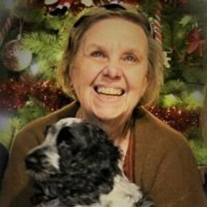 noelle_de_terwangne avatar