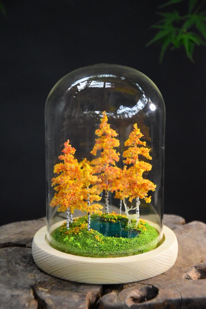 I Created A Magical Miniature World With An Enchanted Forest