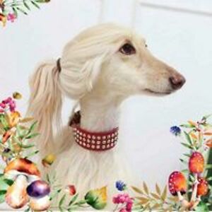 my3kittycats0210 avatar