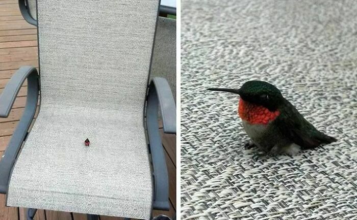 Small Boy In A Big Chair
