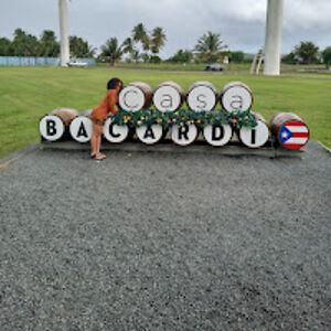 yvonnewilliams_1 avatar