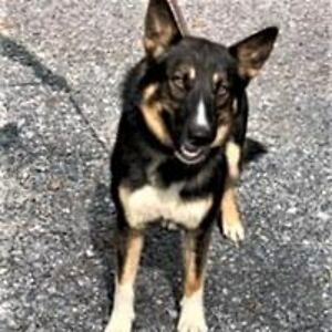 jenny_jeffress_1 avatar